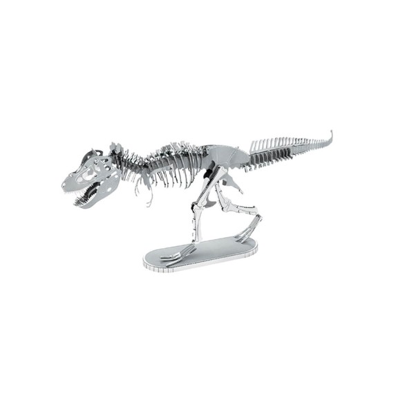 Fascinations: Tyrannosaurus Rex Skeleton