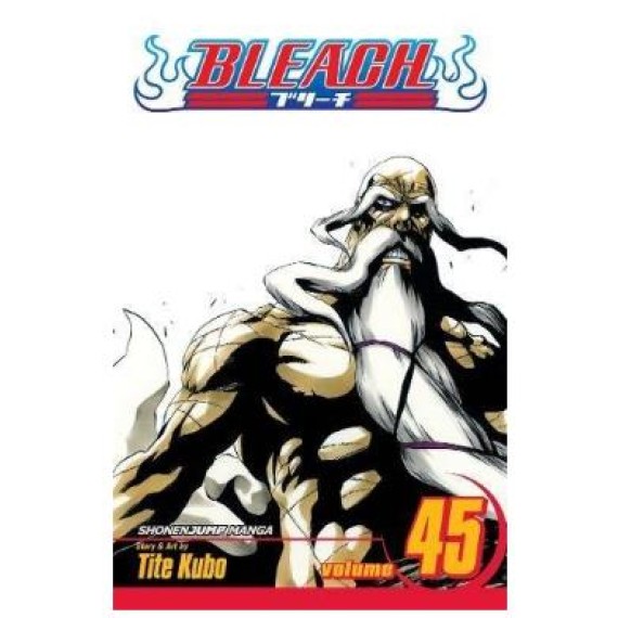 Bleach GN Vol. 45