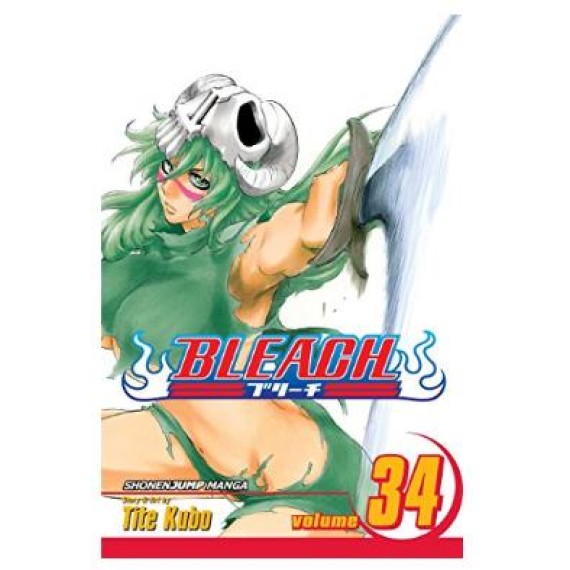 Bleach Vol. 34