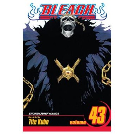 Bleach Vol. 43