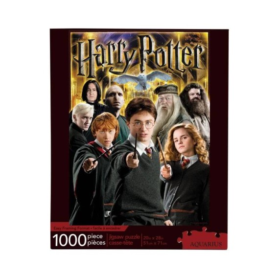 Harry Potter Puzzle Collage (1000 Pieces)