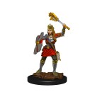 D&D Icons of the Realms Premium Figures: Human Cleric Female