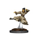 D&D Icons of the Realms Premium Figures: Human Monk Female