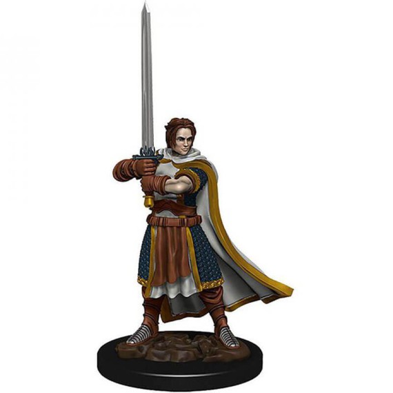 D&D Icons of the Realms: Premium Painted Figure - Human Cleric Male