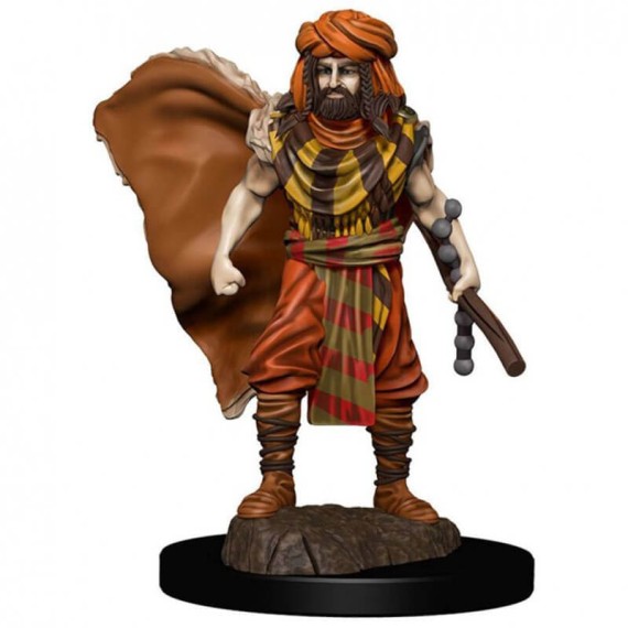 D&D Icons of the Realms: Premium Painted Figure - Human Druid Male