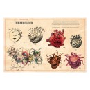 Dungeons & Dragons Art & Arcana Special Edition, Boxed Book & Ephemera Set