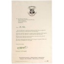 Harry Potter - Harry Potter's Hogwarts Acceptance Letter Tea Towel Set