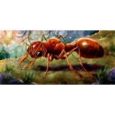 March of the Ants: Empires of the Earth (Exp)