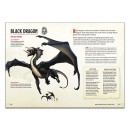 Dungeons & Dragons - Monsters & Creatures