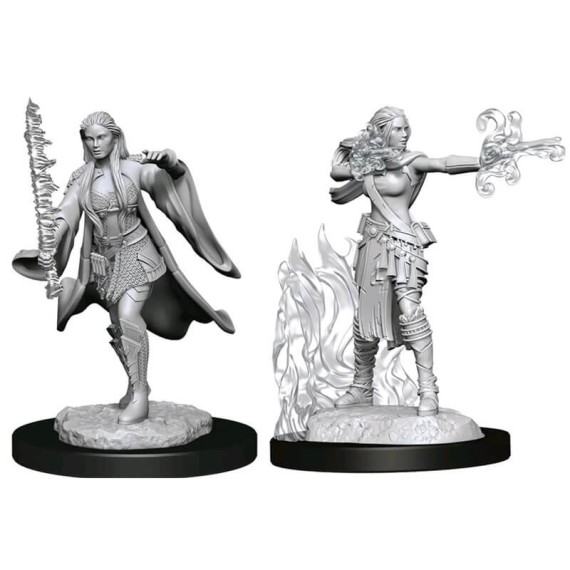 D&D Nolzur's Marvelous Miniatures - Multiclass Warlock + Sorcerer Female