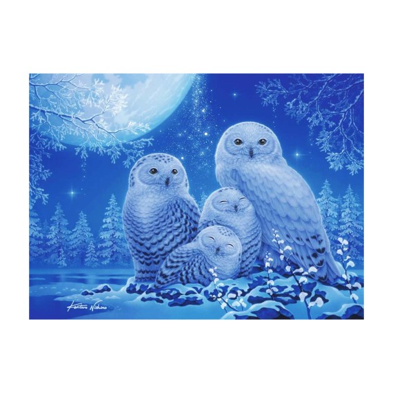 Owls in Moonlight - Παζλ- 500pc