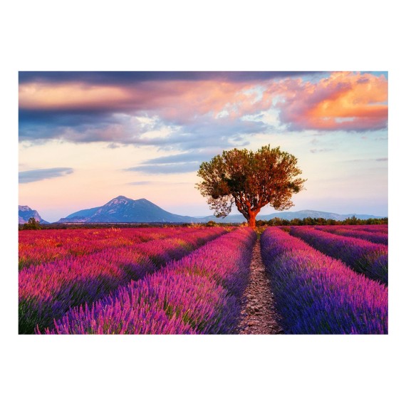 Lavender Field - Παζλ - 1000pc