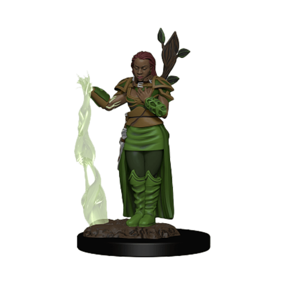 D&D Icons of the Realms Premium Figures: Human Female Druid